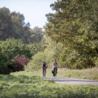 Natuur